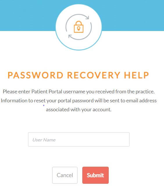 Palmetto Primary Care Physicians Patient Portal Password Reset process